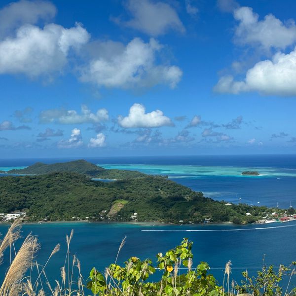 Tropical island with blue waters and lush greenery.