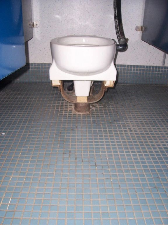 att_cheshire_1_toilet_on_springs_1.jpg