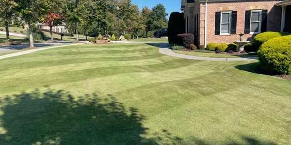 Crisp reel-mowed lawn stripe in Flowery Branch, GA by Signature Lawn Service – weekly lawn care pros