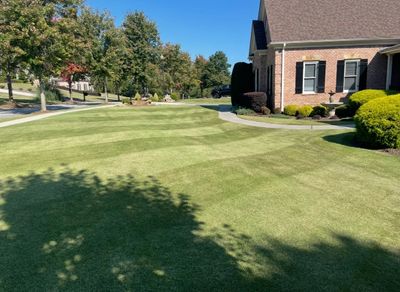 Reel mowed lawn in Jefferson, Ga maintained by Signature Lawn Service