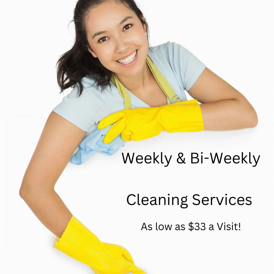 Monthly Plan Cleaning Services