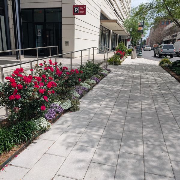 Urban sidewalk with vibrant flowers and modern building.