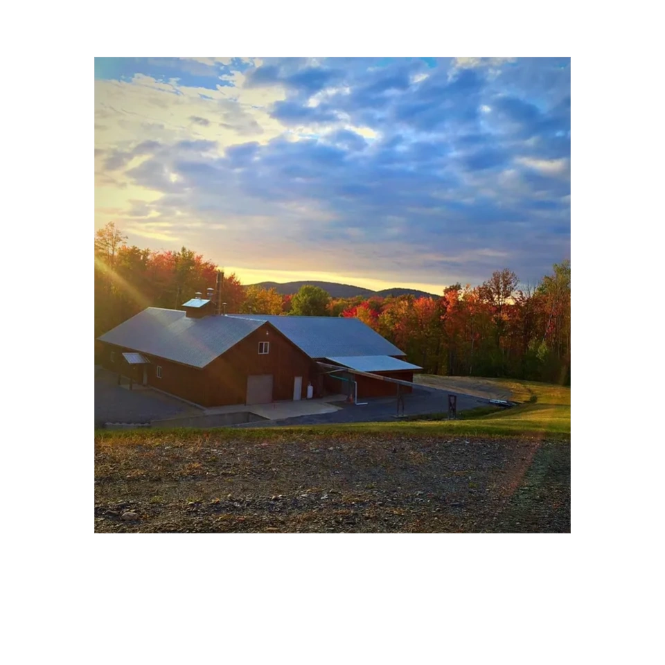 Maple Crest Maple Syrup Organic Pure Vermont Maple Syrup maple-crest-maple-syrup-organic-pure-vermont-maple-syrup