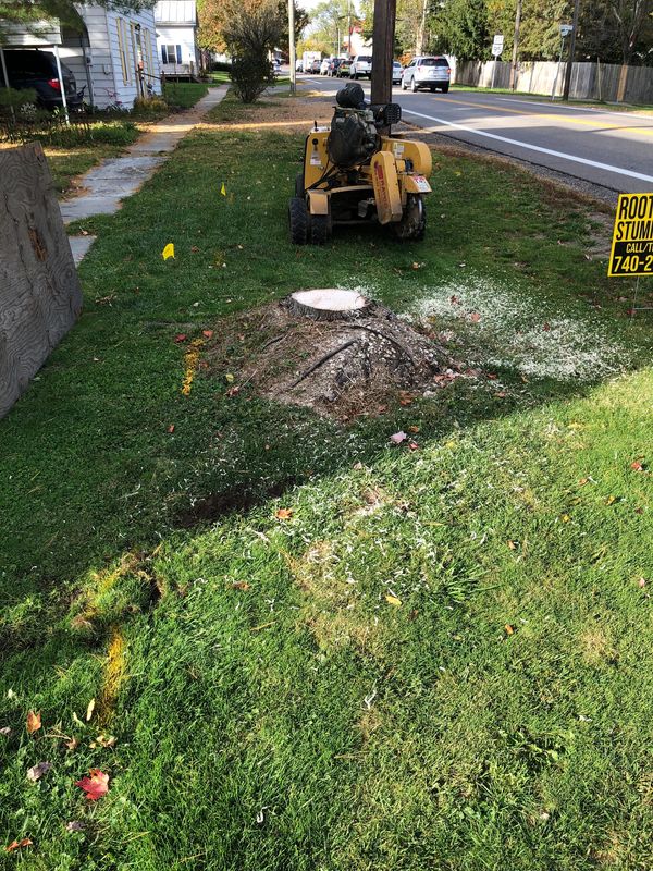 Tree Stump Removal in Chesterville, OH