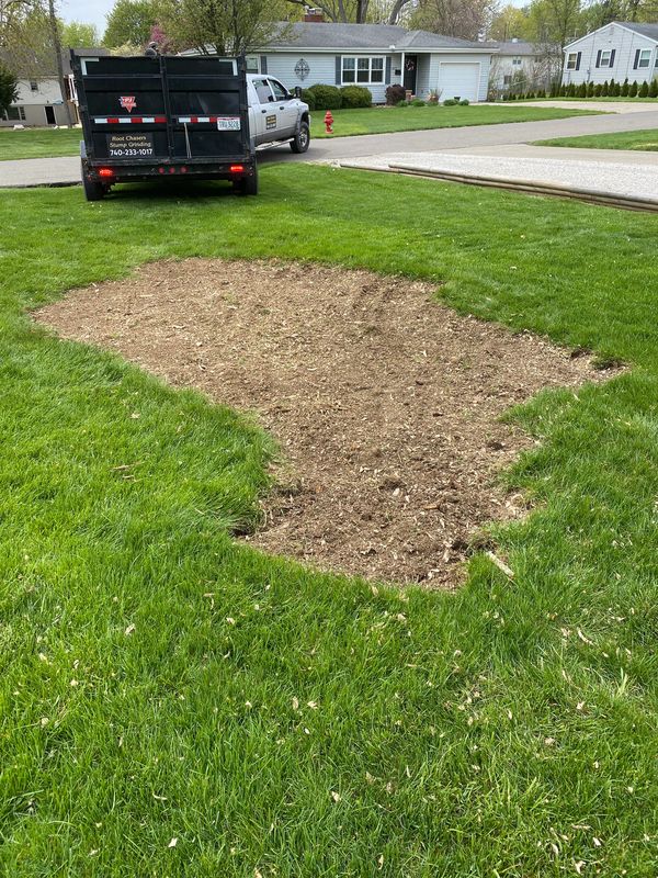 Stump Removal Complete!