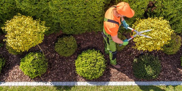 Landscaping