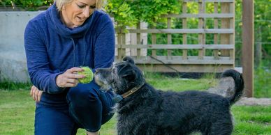 Person with a dog playing with a ball