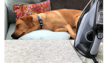 A fox red labrador snoozing on the settee in the background with iron and board in front at Urban HQ