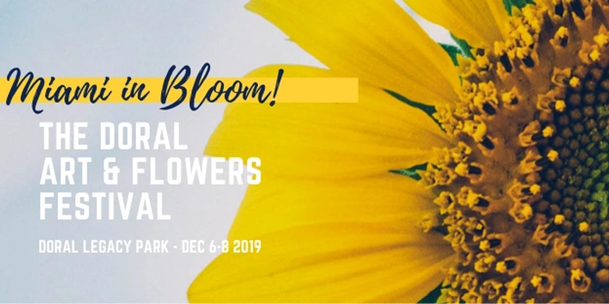 Miami in Boom banner with sunflower picture 