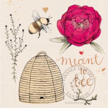 Meant to Bee illustration with vintage style rose, bird and hive by Kerri Elliott | Wiseacres Studio