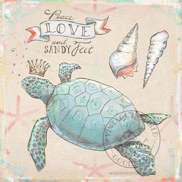 Sea turtle artwork with seashells and vintage ribbon banner by Kerri Elliott | Wiseacres Studio