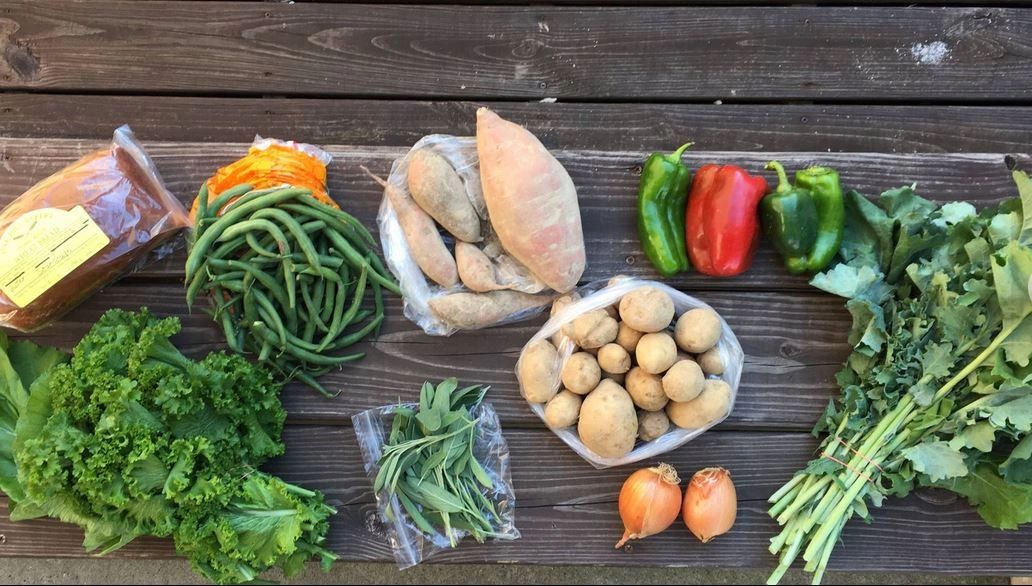 CSA Farmhouse Nashville TN community supported agriculture organic local produce fruit vegetables TN