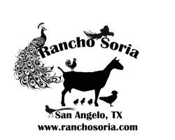 Rancho Soria
