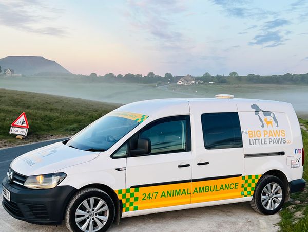 THE BIG PAWS LITTLE PAWS CO 
ANIMAL AMBULANCE 
VW CADDY MAXI VAN
PET TAXI
PET SERVICE
VET TRANSPORT
