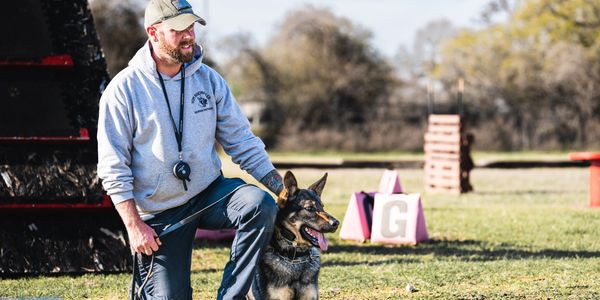 Training German Shepherd at Vom Rheinadler in Texas