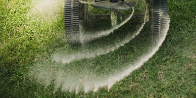 Seasonal Lawn Treatments 