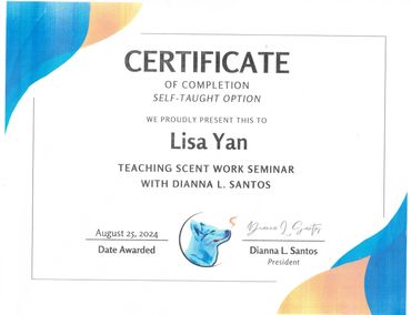 Certificate of completion awarded to Lisa Yan for a seminar.