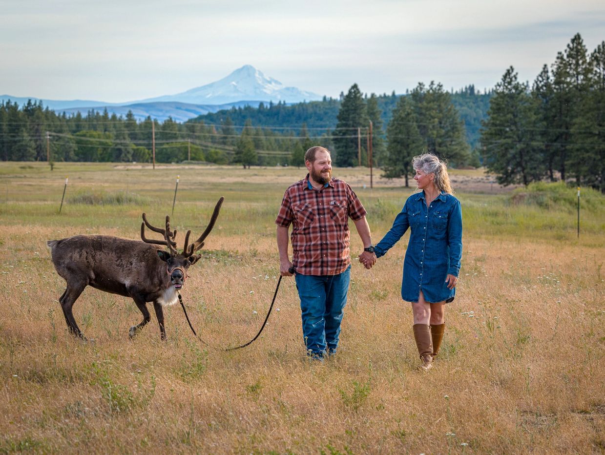 Couple holding hands while walking a reindeer in a scenic field with mountains.