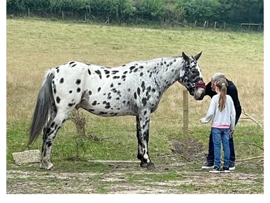 Man and child with horse