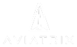 Aviatrix.Company