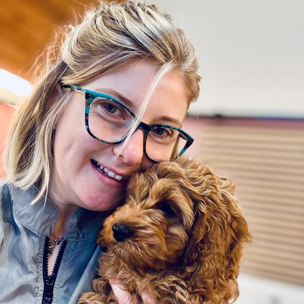 Dog groomer cuddling Cockapoo puppy