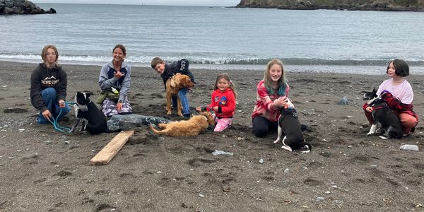 Kids and dogs at the beach