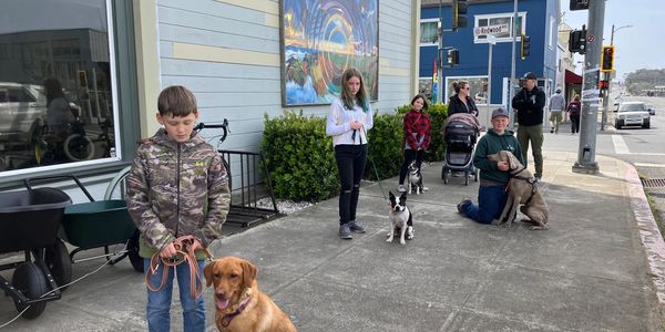 Kids walking dogs