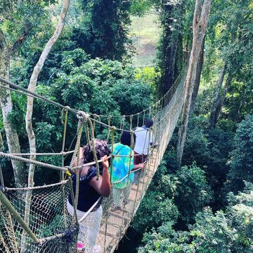 Three people crossing a rope bridge in a dense forest.