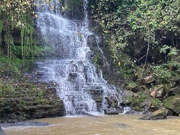 A serene waterfall cascading over rocky ledges surrounded by lush greenery.