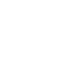 Silicon Valley VIP Club