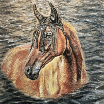 A detailed drawing of a horse standing in water with a bridle and ear covers.