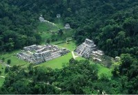 the mayas