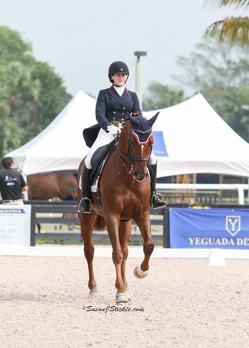 Excel Dressage Qualifies Multiple Horses for Regionals
