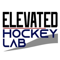 elevatedhockeylab.com