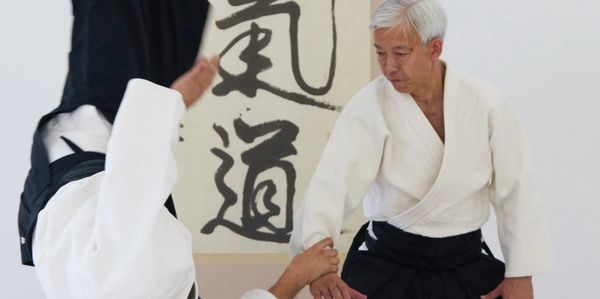 Current Doshu, Moriteru UESHIBA 