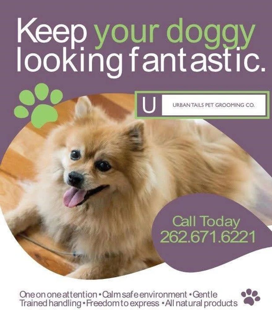 Urban Tails Pet Grooming Co. Pet Groomer Kenosha, Wisconsin