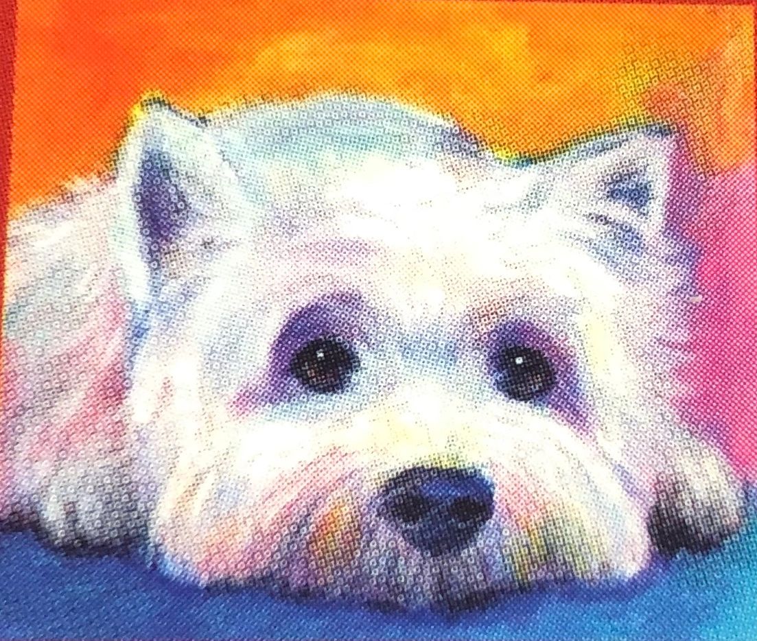 Montclair Pet Grooming Llc