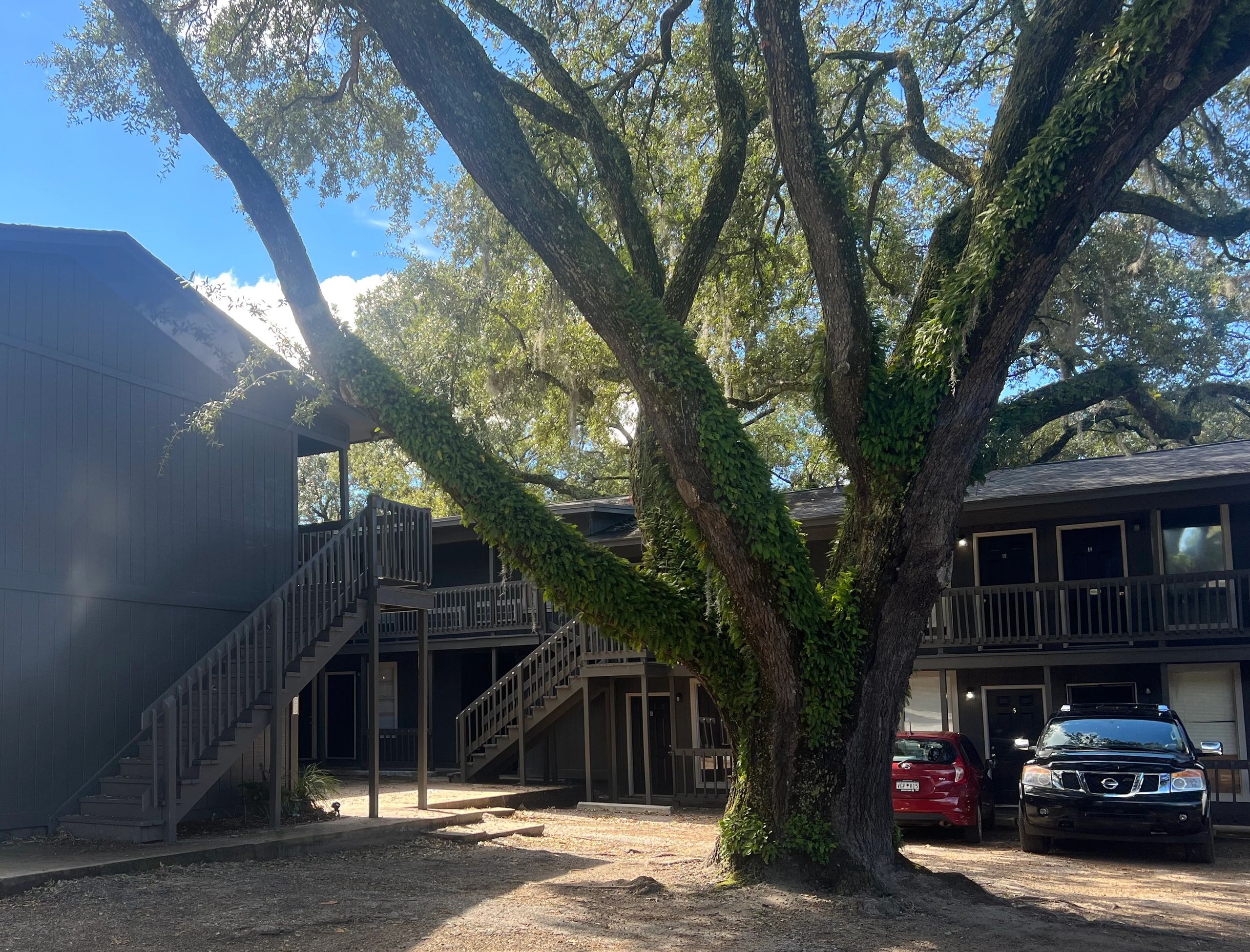 Oak Tree Apartments Apartments Rental, Apartments Rental