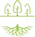Down to Earth Environmental