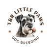 TR Little Paws