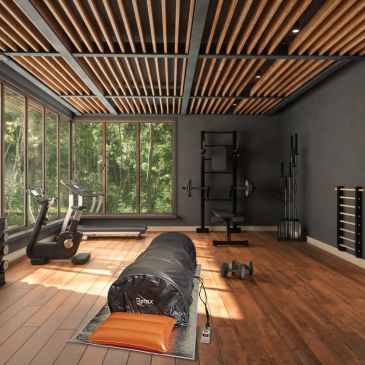 Modern home gym with large windows and wooden ceiling accents.