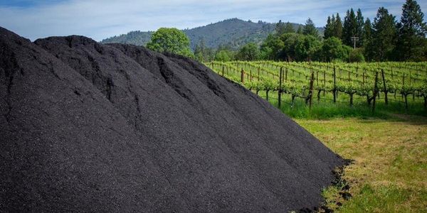 Biochar in South Africa