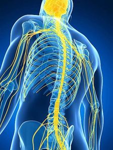 Multiple sclerosis treatment