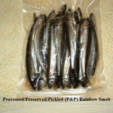 EASTERN SILVERY MINNOWS (ESM's™): #3 ESM's™ / P&P/ 3/ $7 shipping
