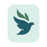 Spirit Life Church