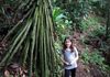 Simone and a Walking Palm Tree in the rainforest