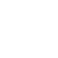 POLSO AVIATION GROUP