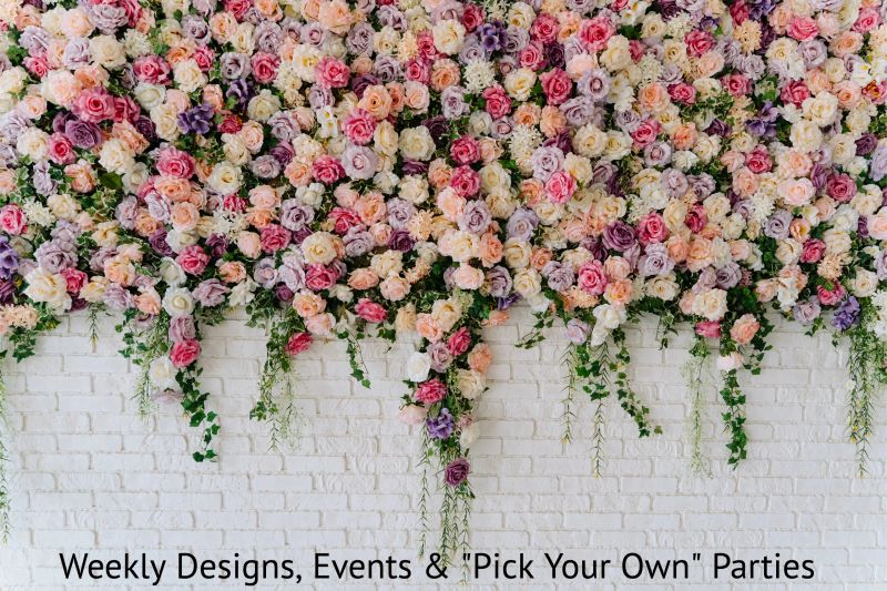 Eye Candy Florals