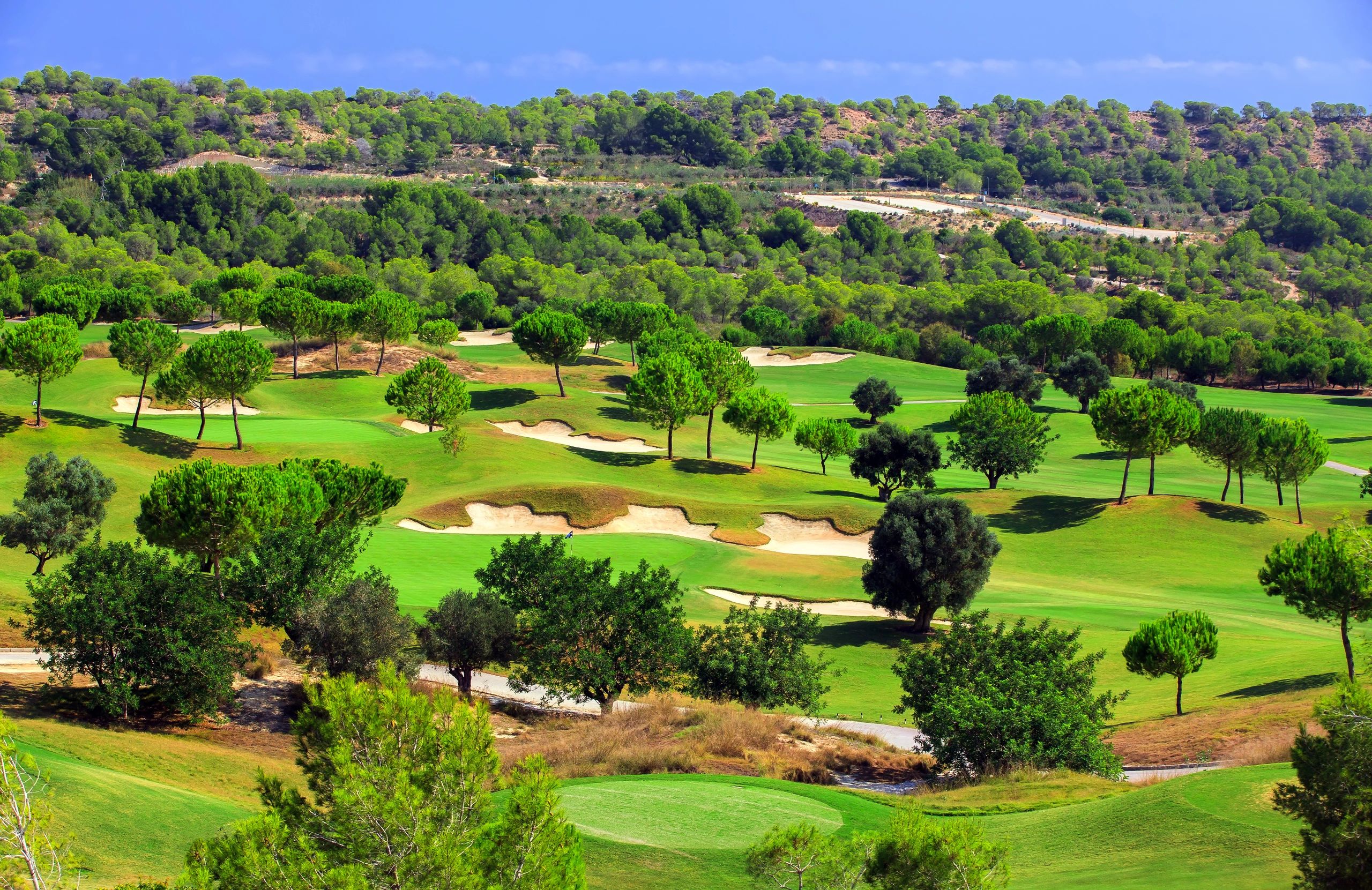 aerial image of golf courses in Spain with trees lining the fairways