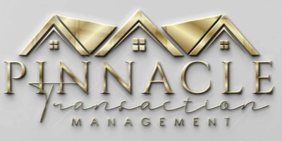The Virtual Solutions Firm